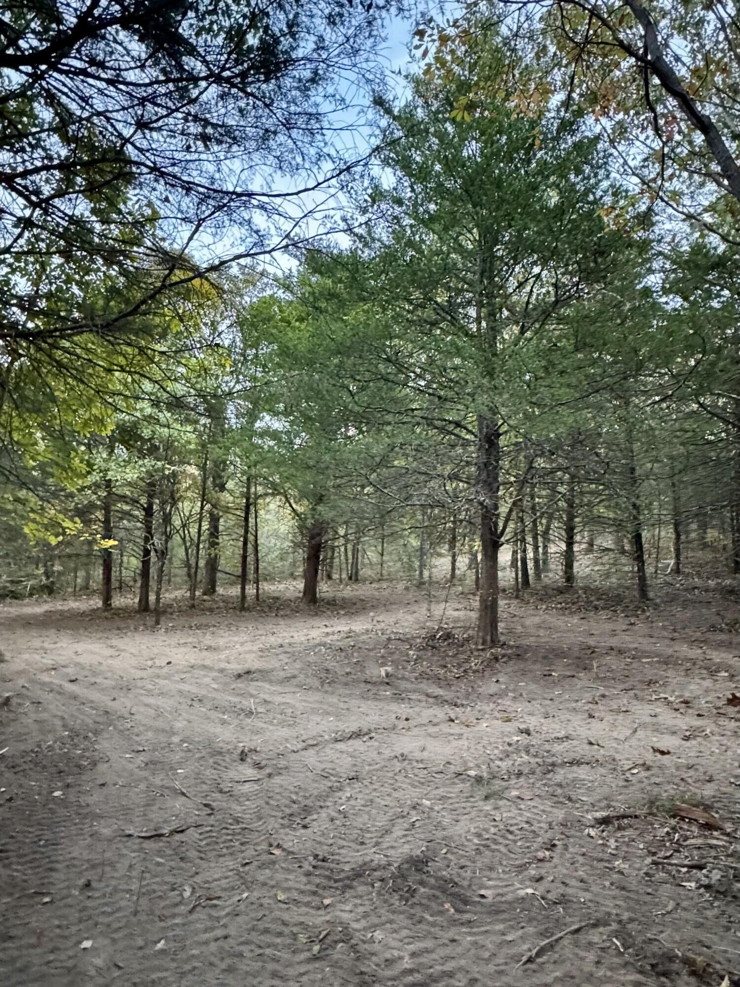 Property Photo:  000 County Road 110  MO 65704 