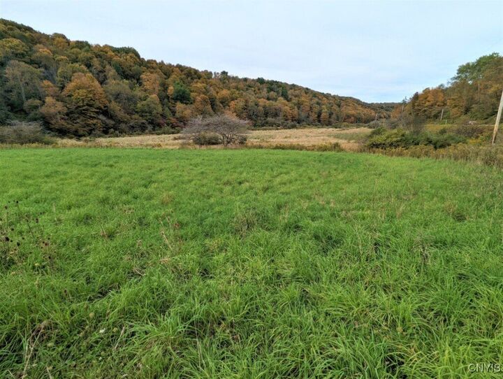 Property Photo:  1191 State Route 248  NY 14877 