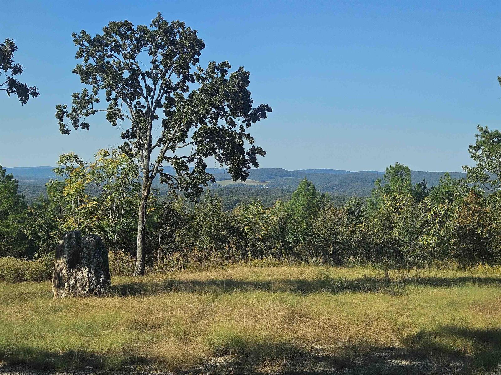 Property Photo: 000 Hartshorn AR 71913