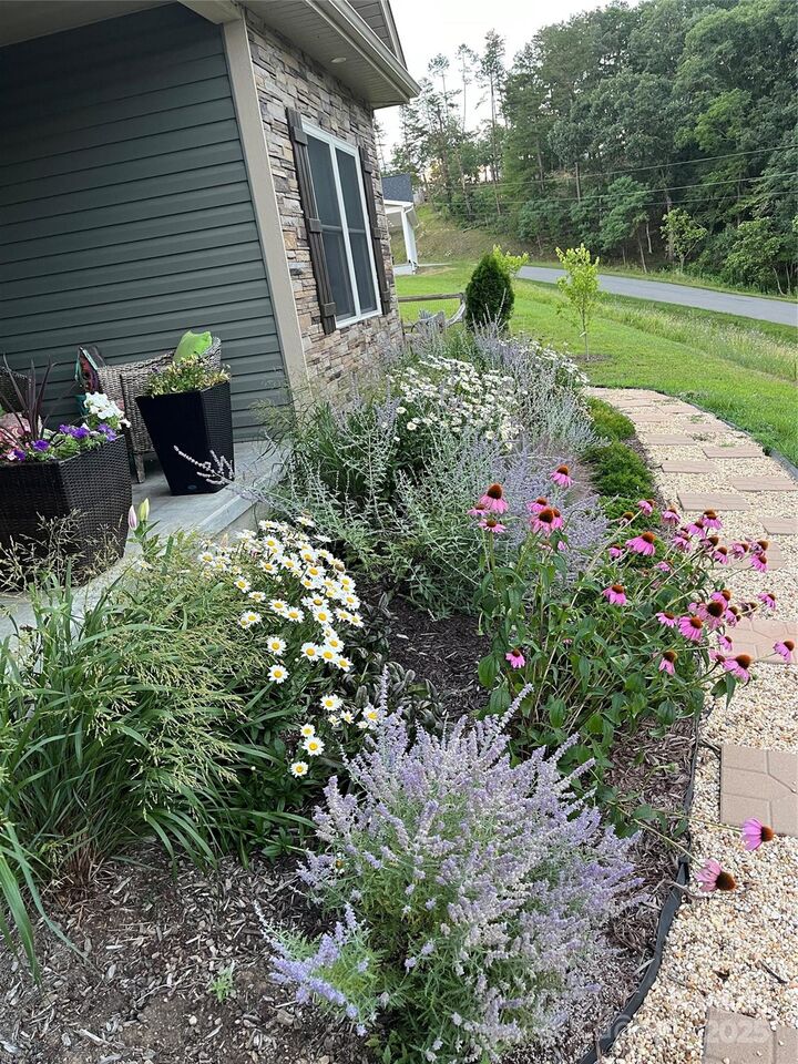 Property Photo:  5 S Pine Drive  NC 28787