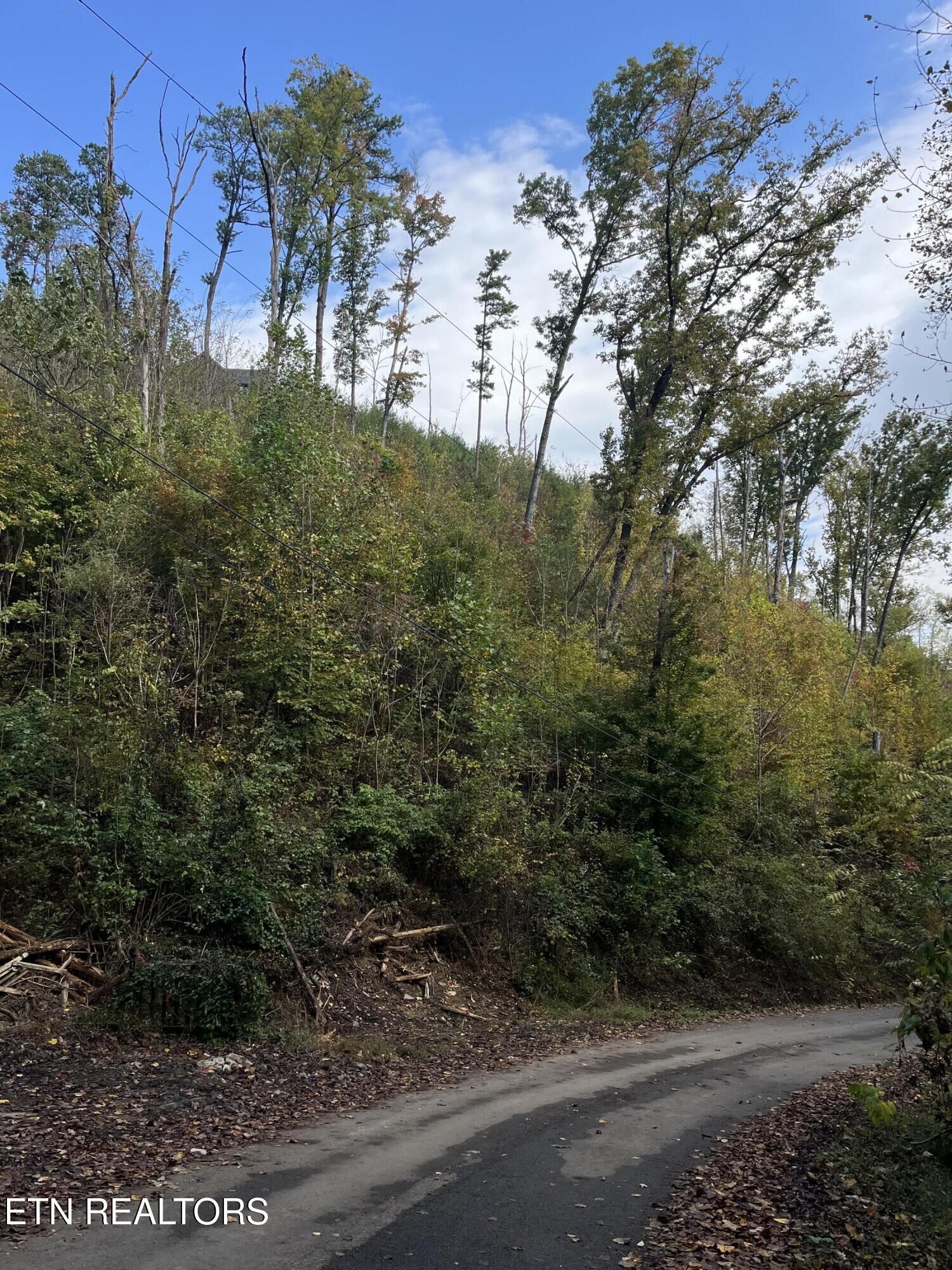 Property Photo:  Lot 529 Deep Hollow Rd  TN 37738 