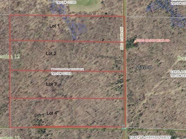 Property Photo: Lot 1 Mason Delta Rd WI 54856