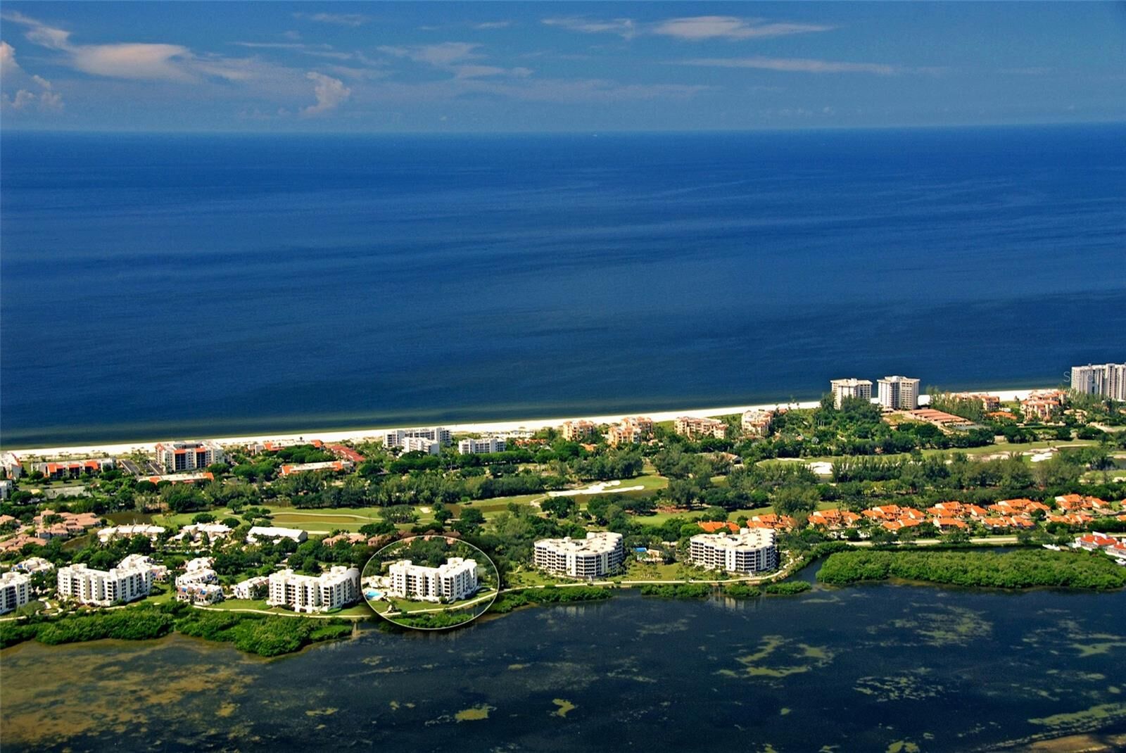 Property Photo:  2020 Harbourside Drive 432  FL 34228 