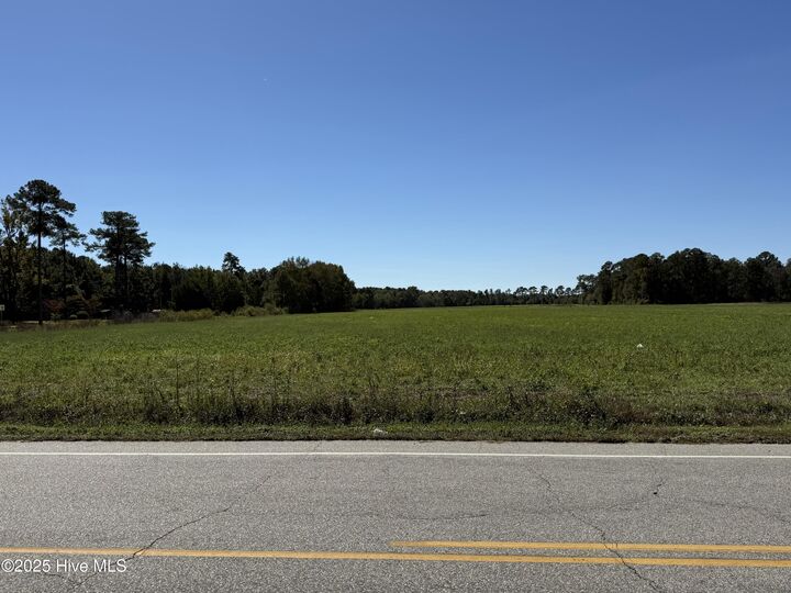 Property Photo:  12.5 Acres Bonnetsville Road  NC 28328 