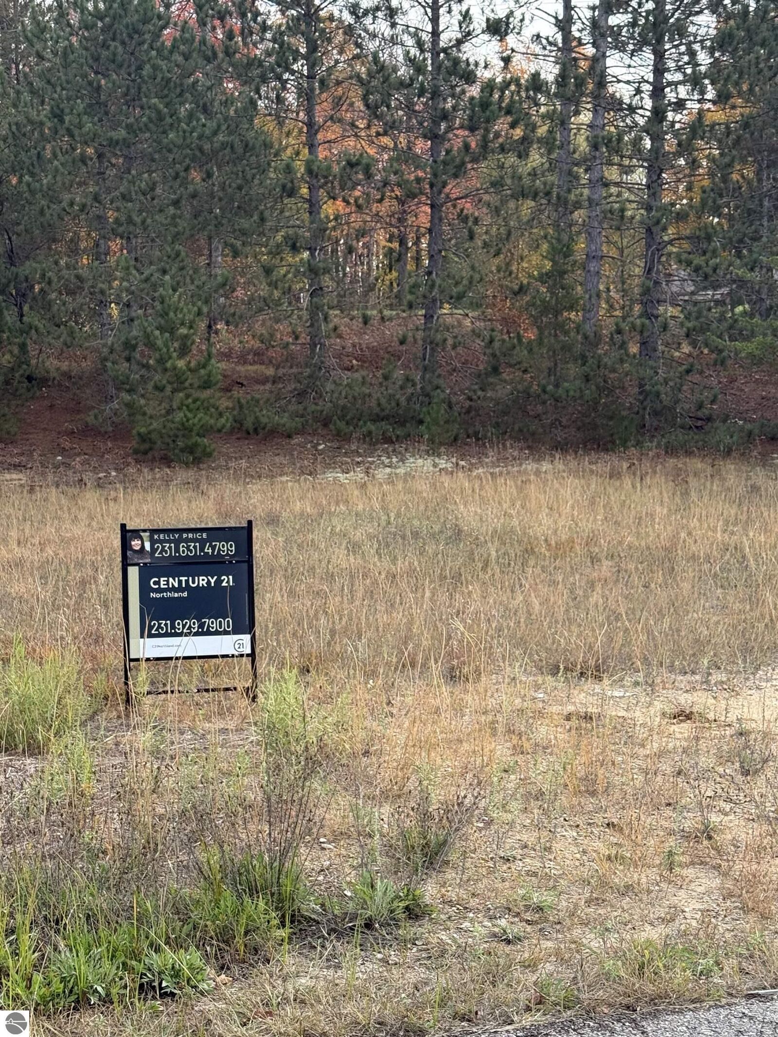 Property Photo: 9678 Chippewa Drive MI 49659
