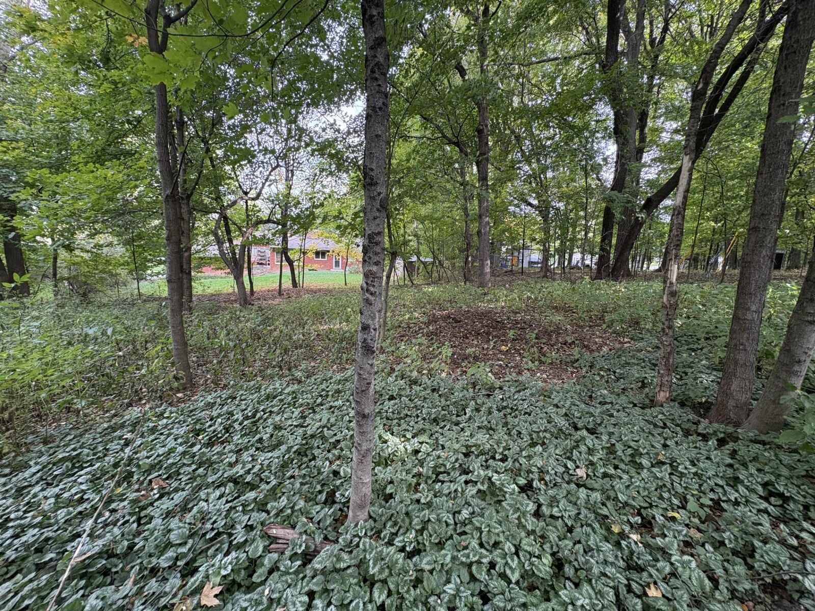 Property Photo:  16401 Hidden Valley Road  MN 55345 