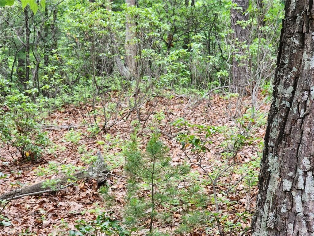 Property Photo:  Tbd Sampson Road  NC 28645