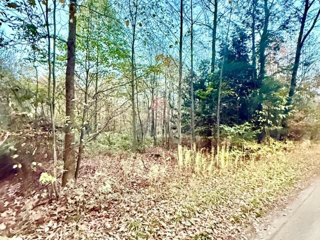 0 Eccles Road  Sugar Grove PA 16345 photo