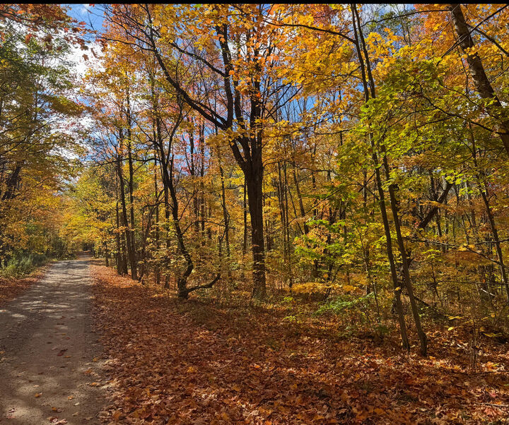 Property Photo:  0 French Settlement Road  NY 12953 