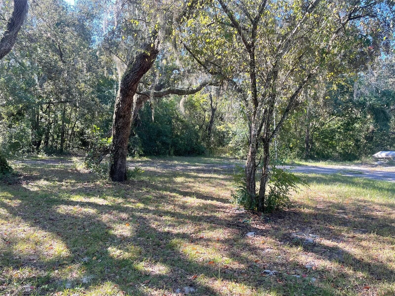 Property Photo: 11428 Tenoaks Drive FL 34669