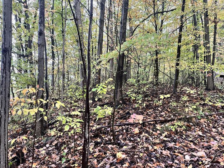 Property Photo:  6477 E 128th Street  MI 49343 