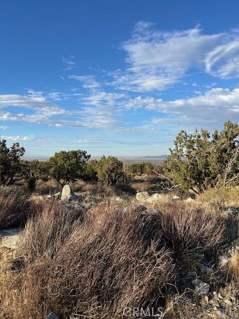 Property Photo:  0 Yucca  CA 92372 