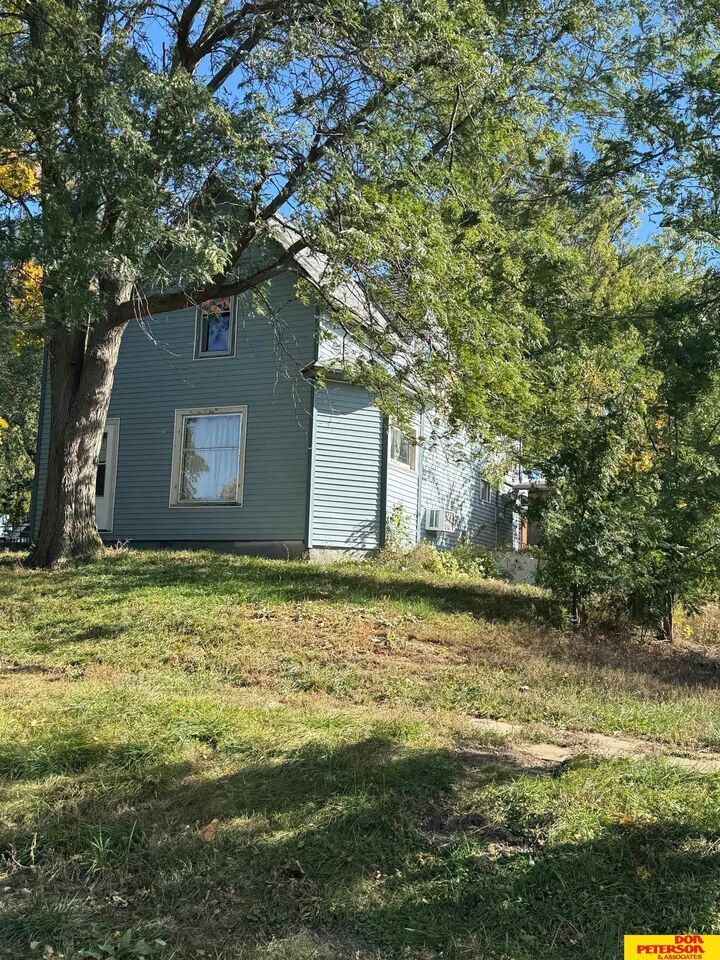 Property Photo:  213 S Nebraska Street  NE 68019 
