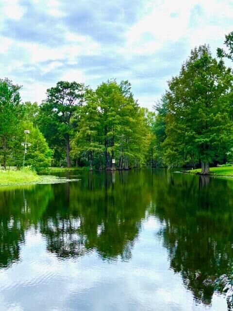 Property Photo:  2642 Francis Marion Boulevard  SC 29148 