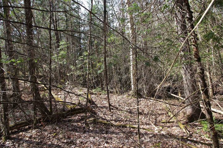 Property Photo:  Lot 15 Concession 9 N/A  ON K0L 1J0 