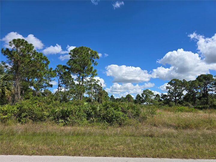 Property Photo:  1034 Dearborn Street  FL 33974