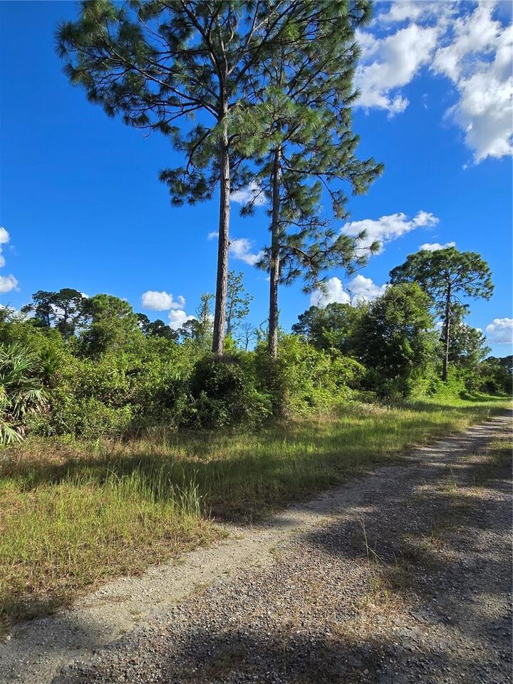 Property Photo:  421 Wilder Avenue S  FL 33974