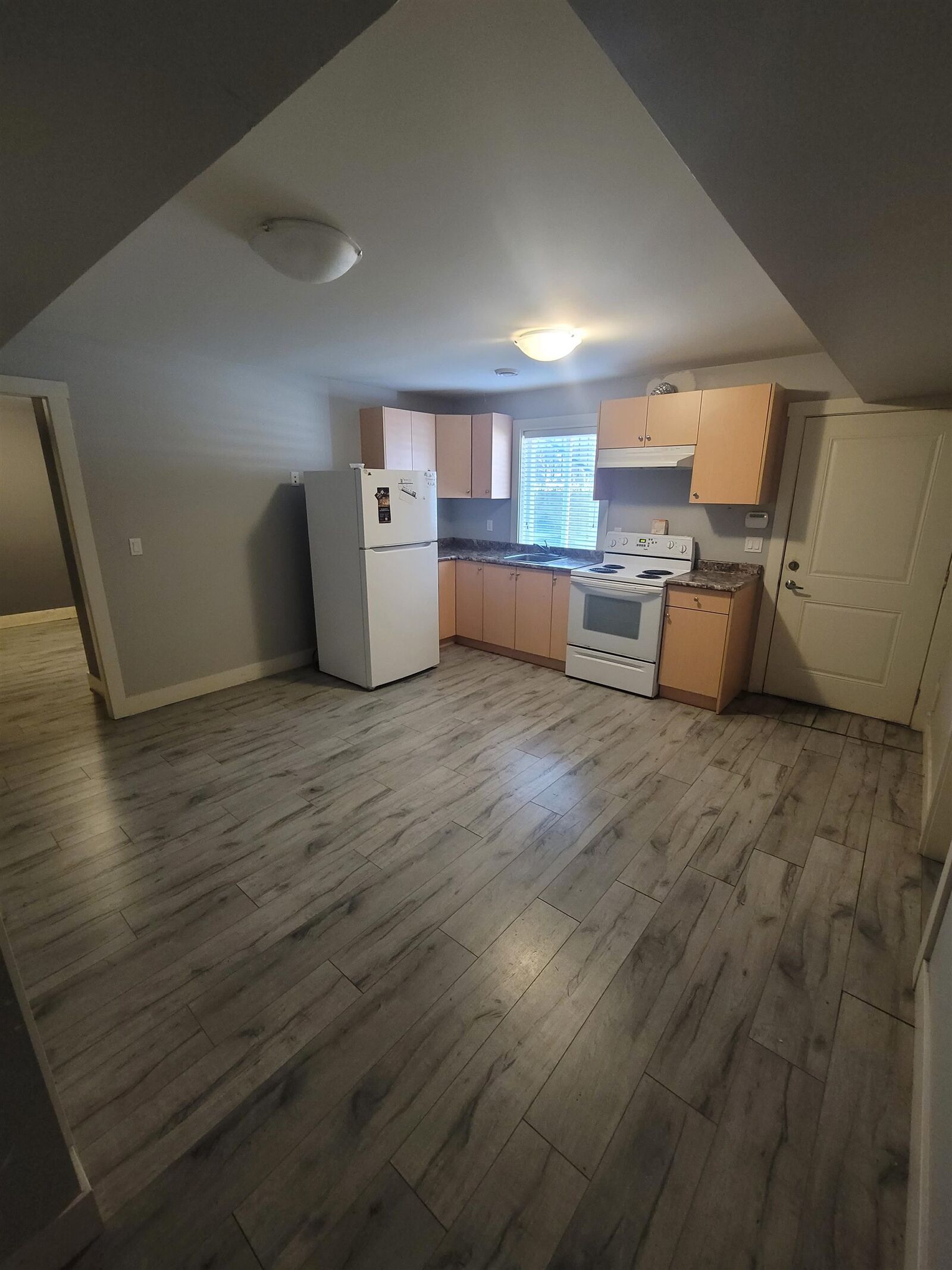 Property Photo:  30973 159B Street Basement  BC V4N 3J4 