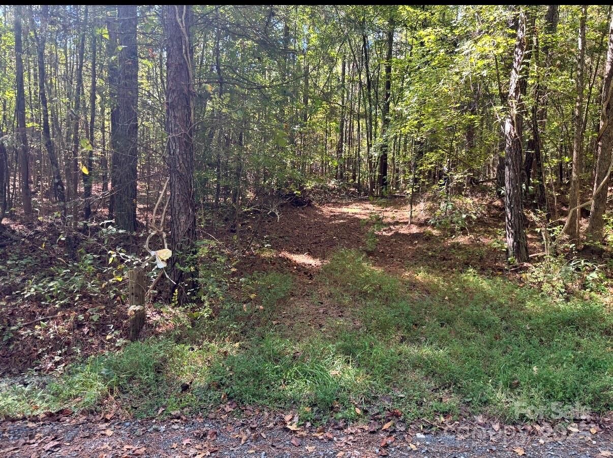 Property Photo:  000 Bookout Road  SC 29726