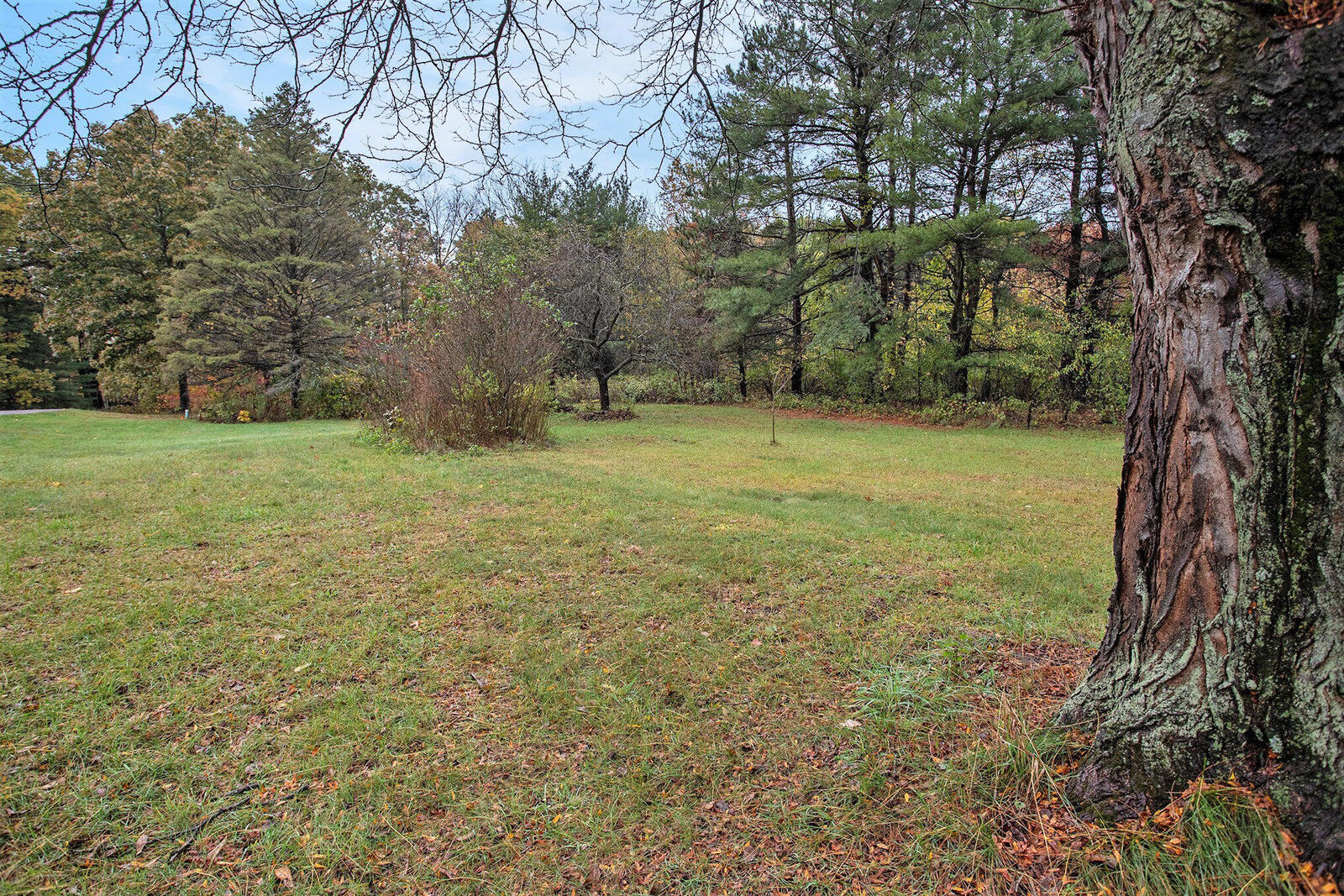 Property Photo: 3711 Wolf Drive MI 49009