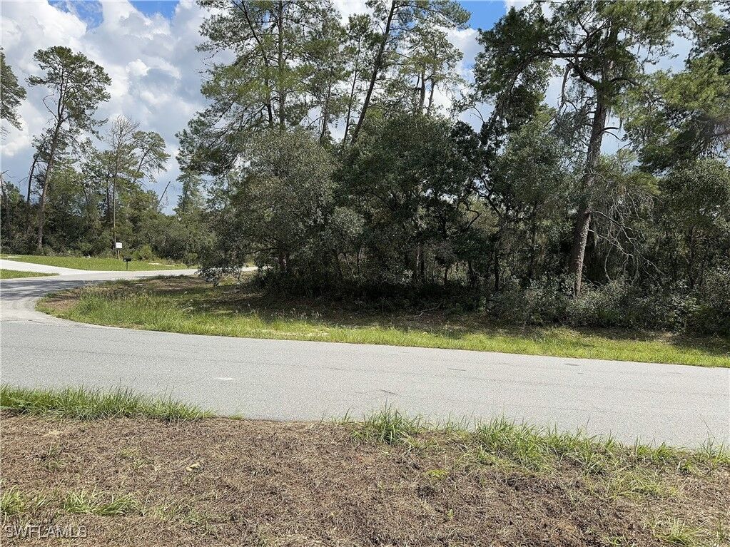 Property Photo: Xxx SW 167th Loop FL 34473