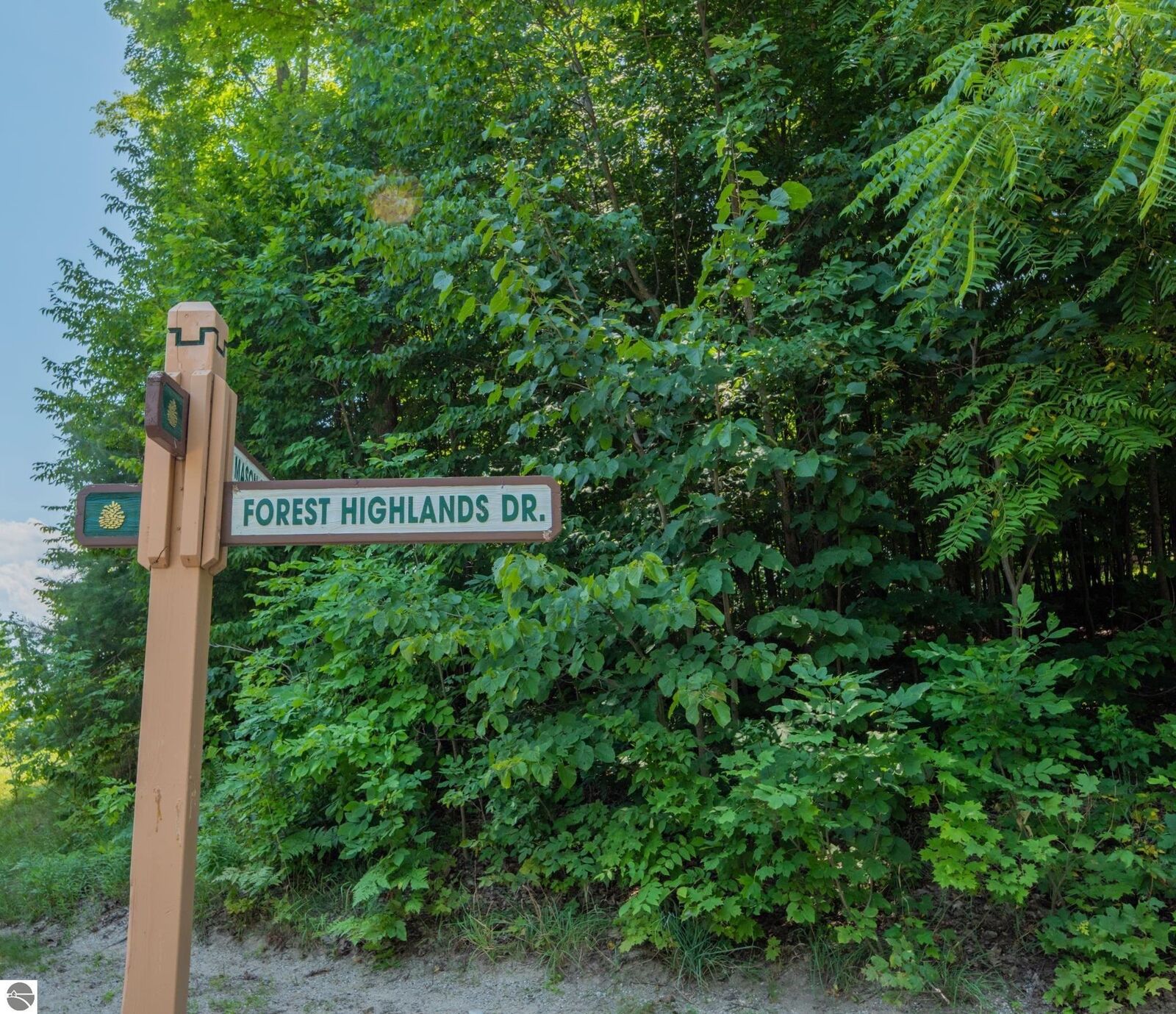 Property Photo:  Lot 165 Forest Highlands  MI 49615