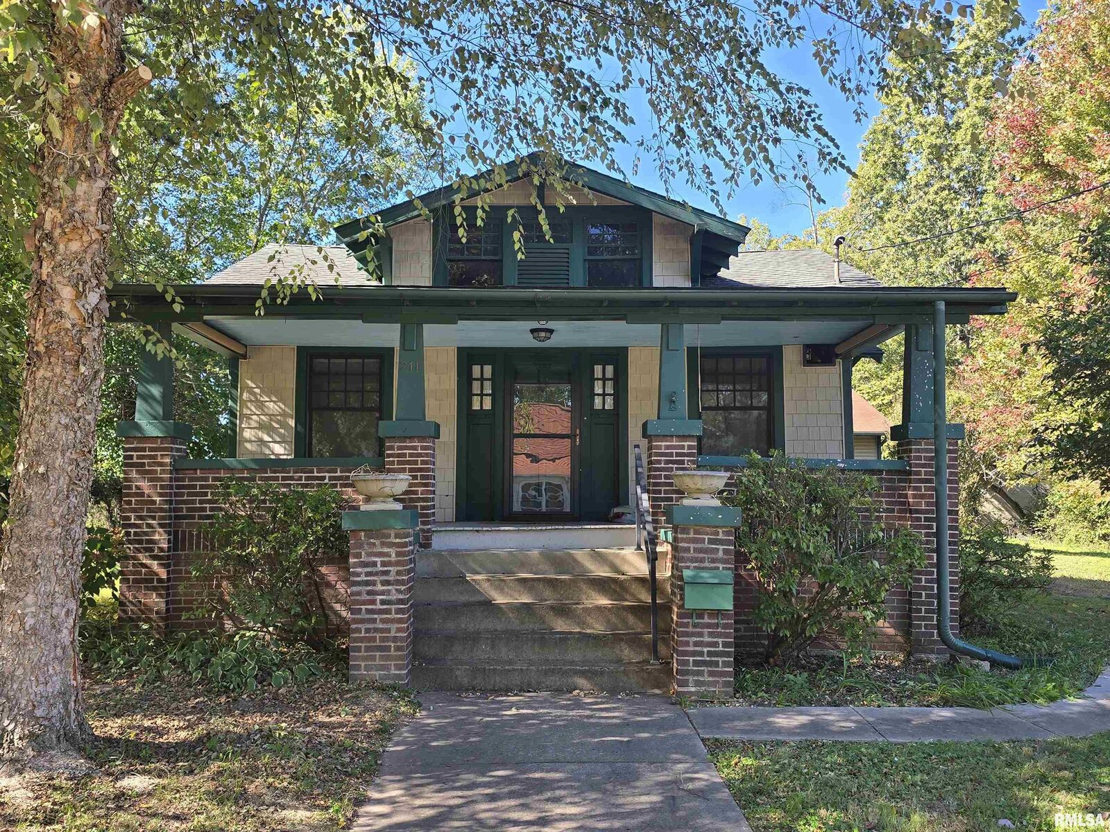 Property Photo:  211 McNeil Street  IL 62918