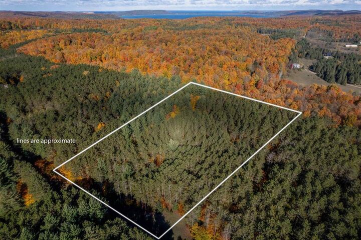 Property Photo: W Timber Lane MI 49630