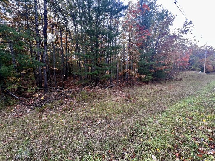 Property Photo: 2534 E Mullett Lake Road MI 49749