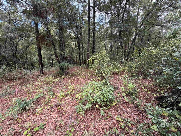 Property Photo:  0 Victorian Drive  AL 36532