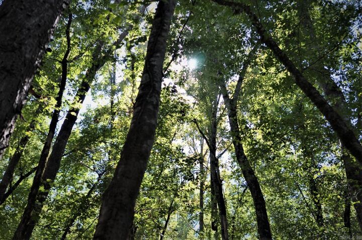 Property Photo:  000 Dallas 273  AR 71763