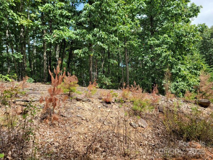 Property Photo:  219 Judy Road  NC 28020 