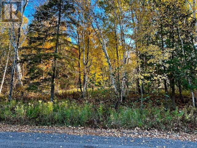 Property Photo:  Lot 16 Seymour Street  ON P1B 8Z4 