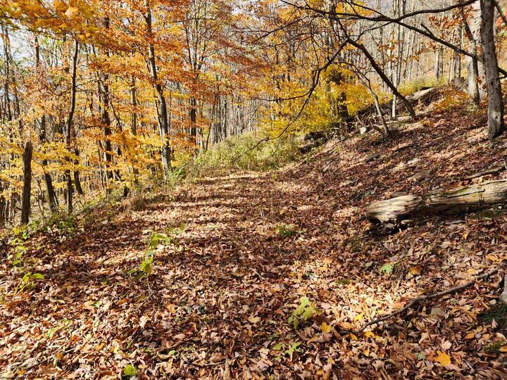 20 E Meadows Road  Harman WV 26270 photo