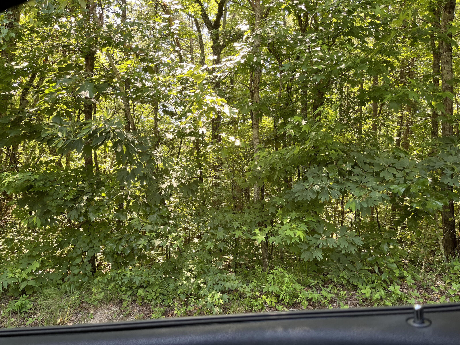 Property Photo:  9811 Lovell Road  TN 37379 