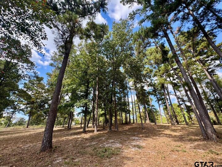 Property Photo:  Lot 17 Cr 3545  TX 75765 