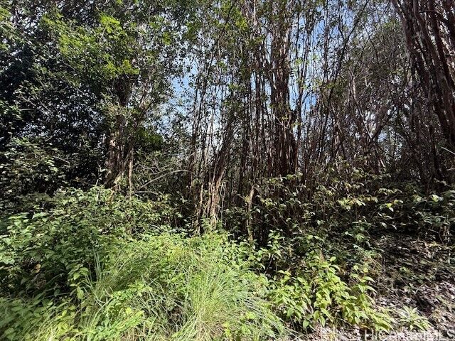 Property Photo: 17-3352 Maunalani Road HI 96771