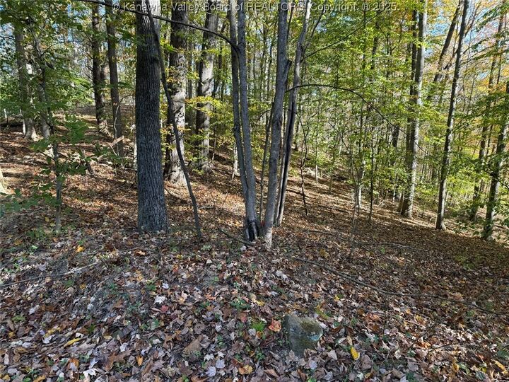 Property Photo:  51 Abbey Road  WV 25311 