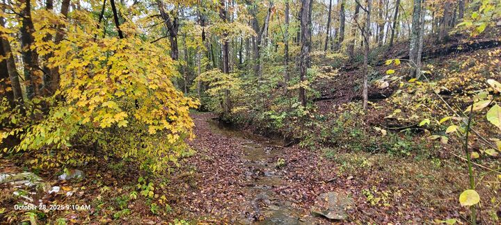 Property Photo:  1121 Breeding Road  KY 42129 