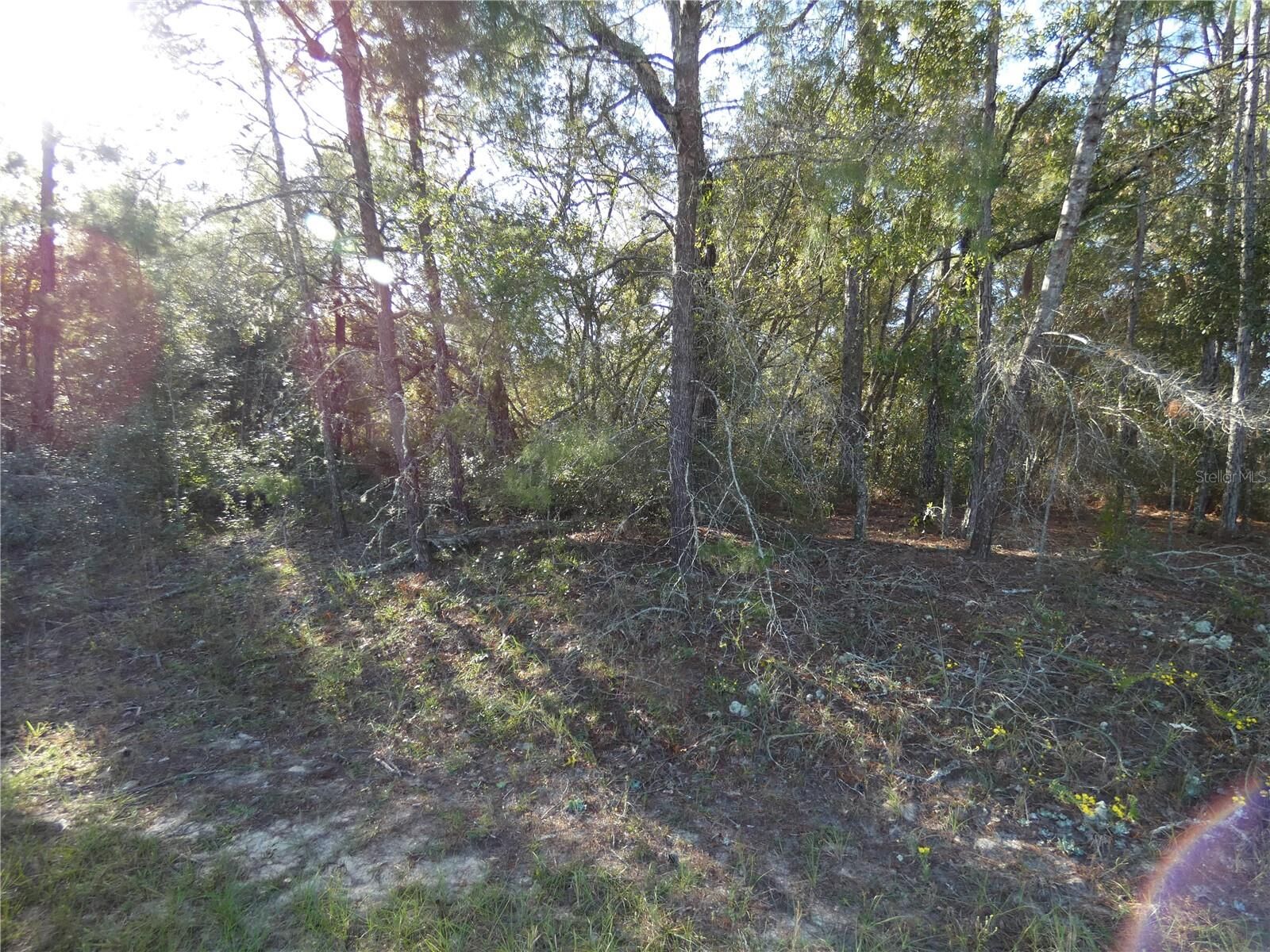 Property Photo:  7809 N Jamaica Drive  FL 34433 