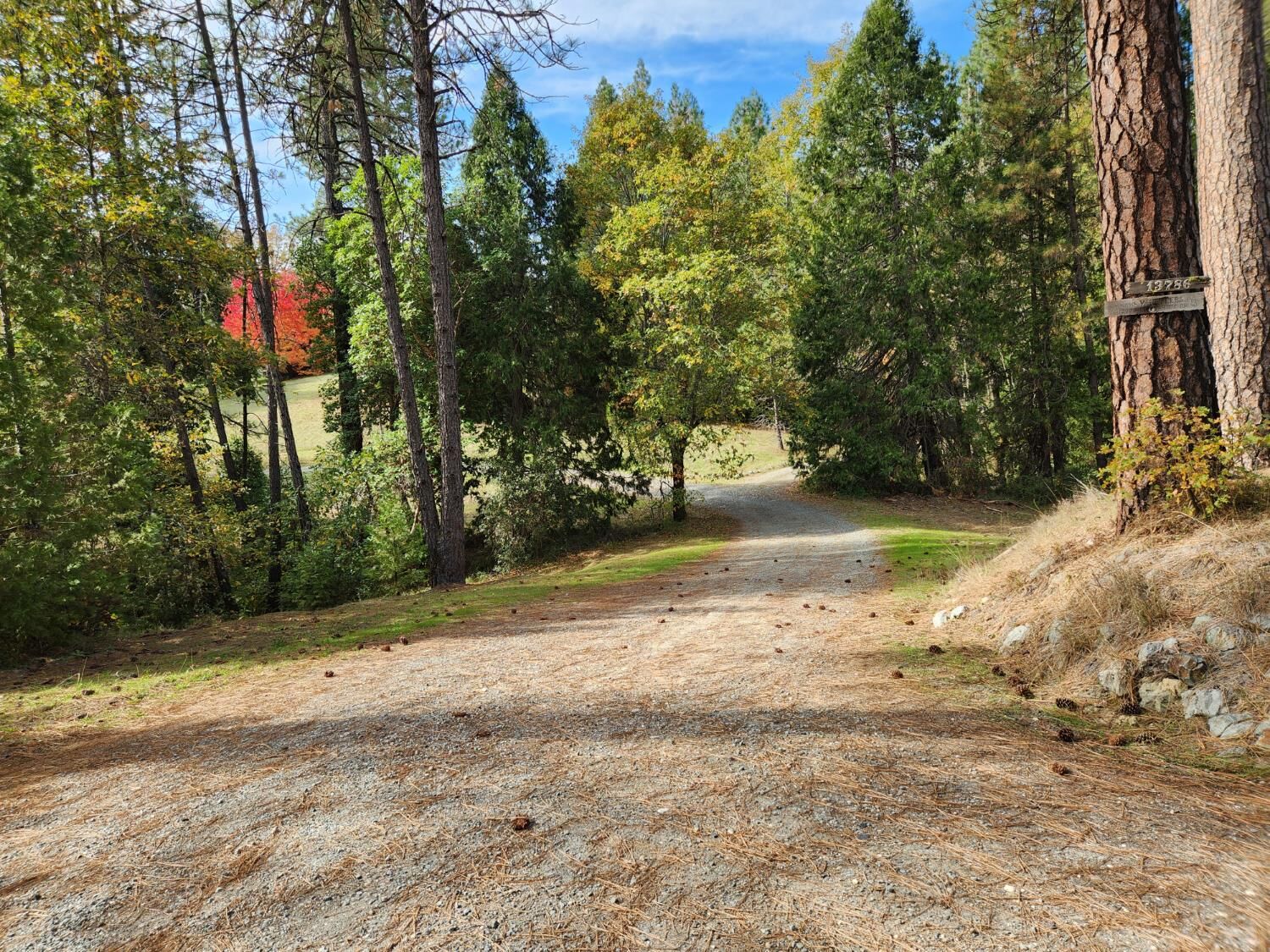 Property Photo:  13786 Moonshine Road  CA 95922