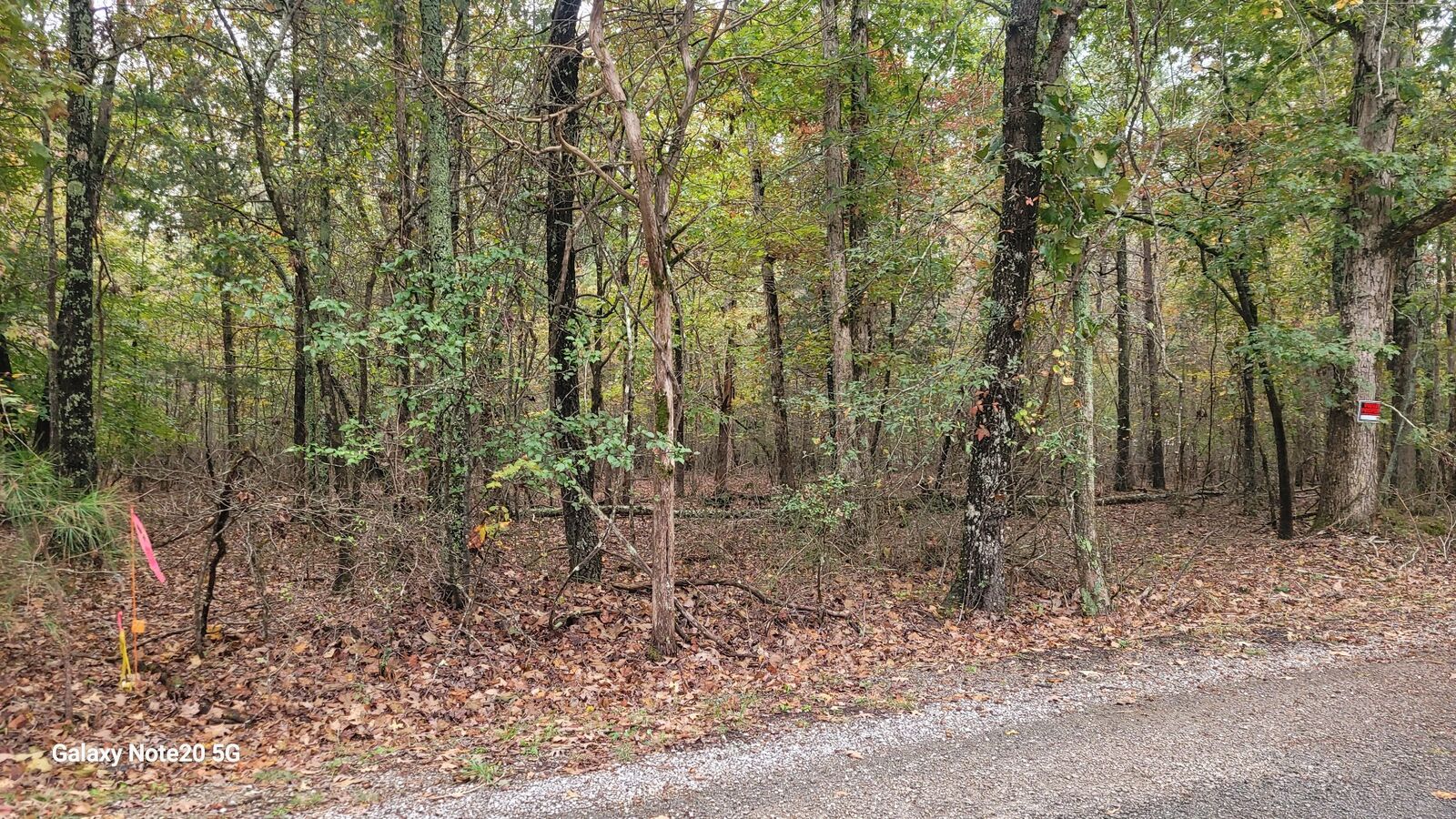 Property Photo:  0 Knott Road  TN 37398 