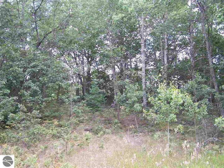 Property Photo:  N Circle E  MI 48622