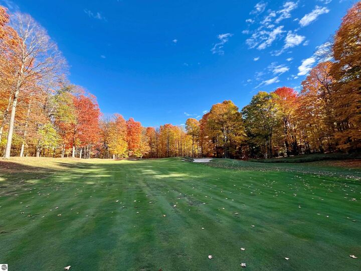 Property Photo:  V/L 82 Troon North  MI 49615