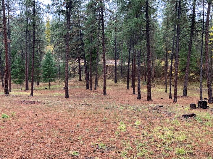 Property Photo:  163 Warren Road  MT 59923 