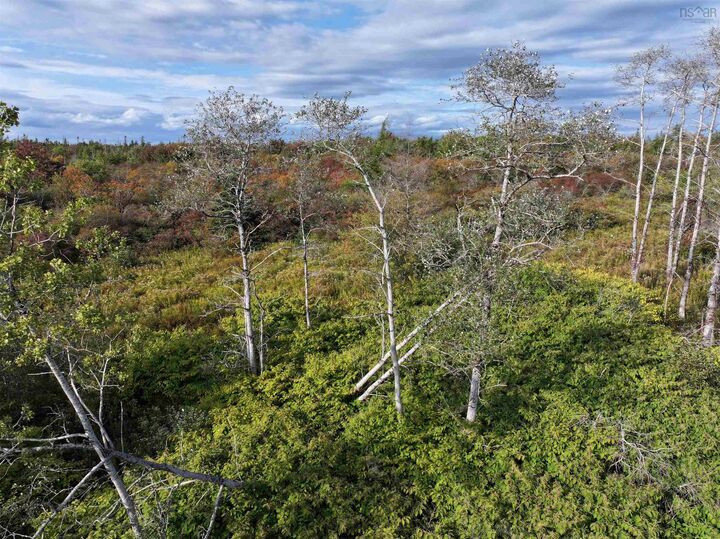 Property Photo:  Lot 1 Goldenville Road  NS B0J 0B3 