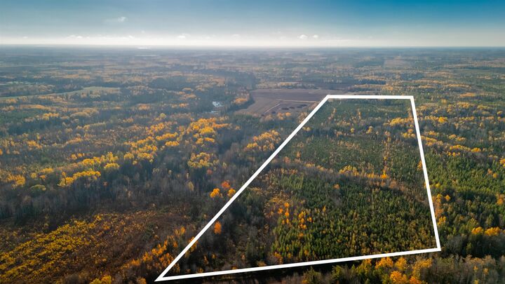 Photo de la propriété:  Acreage Doyle Road  PE C0B 1E0 