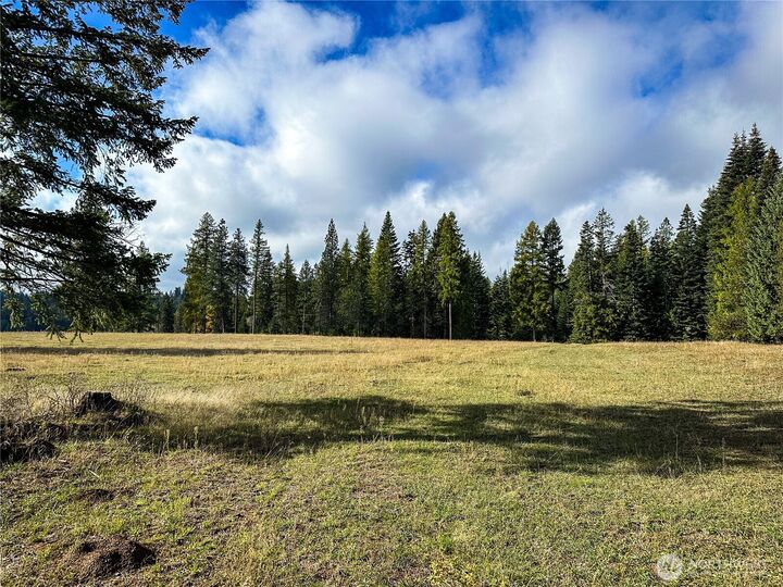Property Photo:  320871  Highway 2  WA 99156 