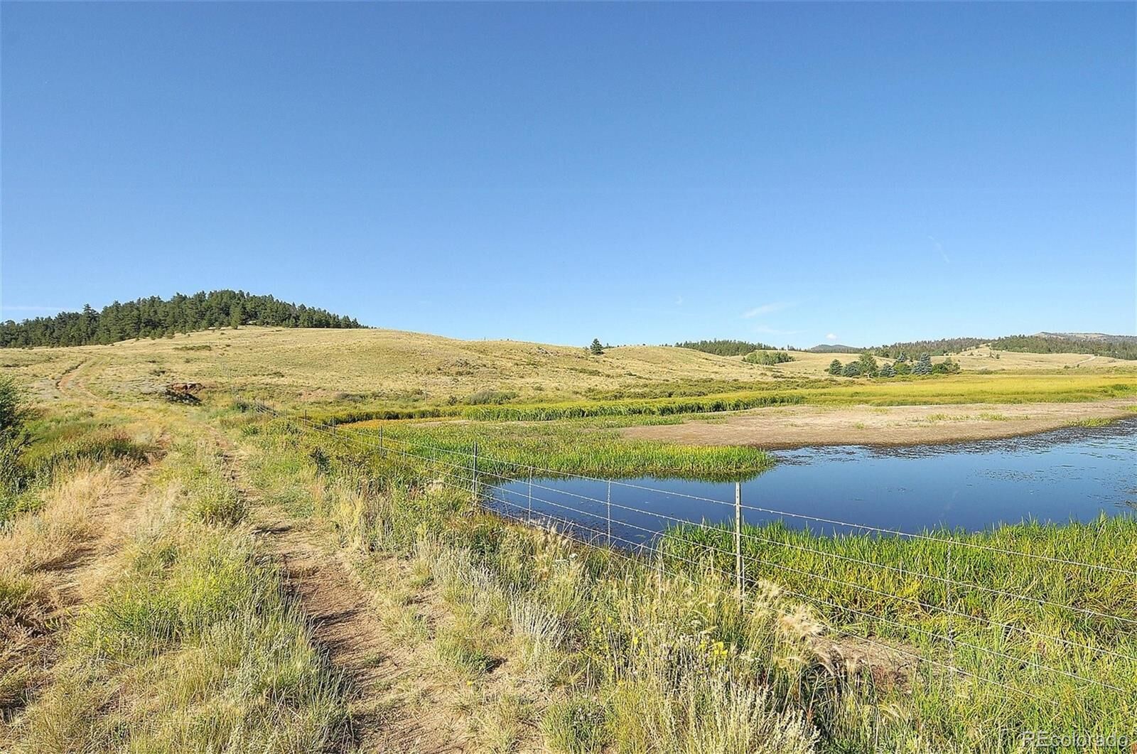 Property Photo:  1245 Badger Creek Road  CO 80449 