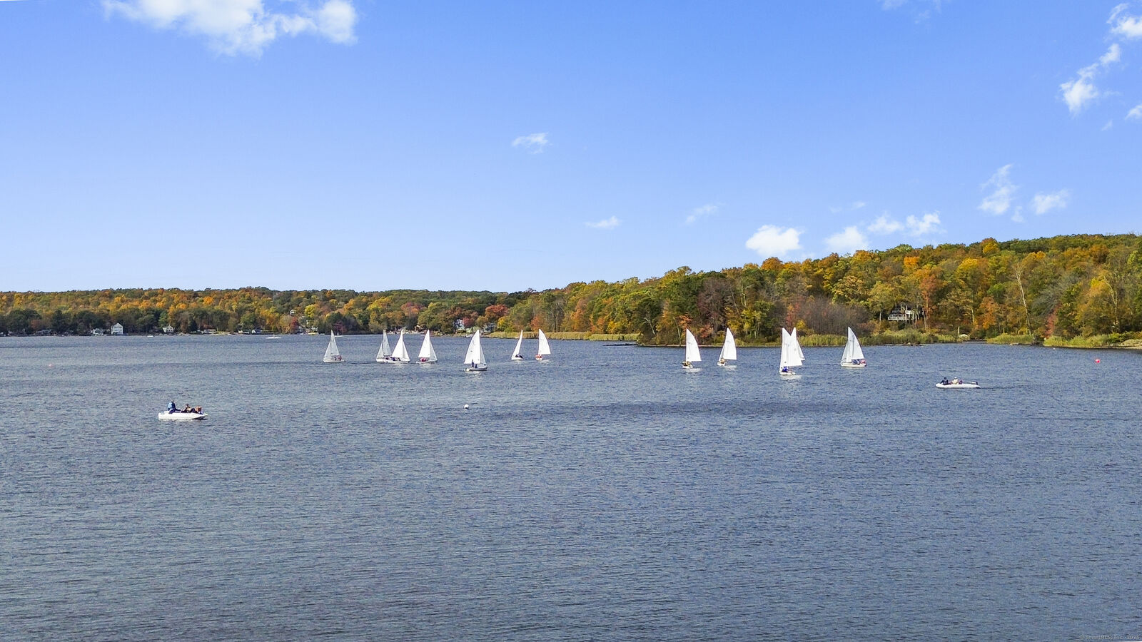 Property Photo:  35 Birch Trail  CT 06238 